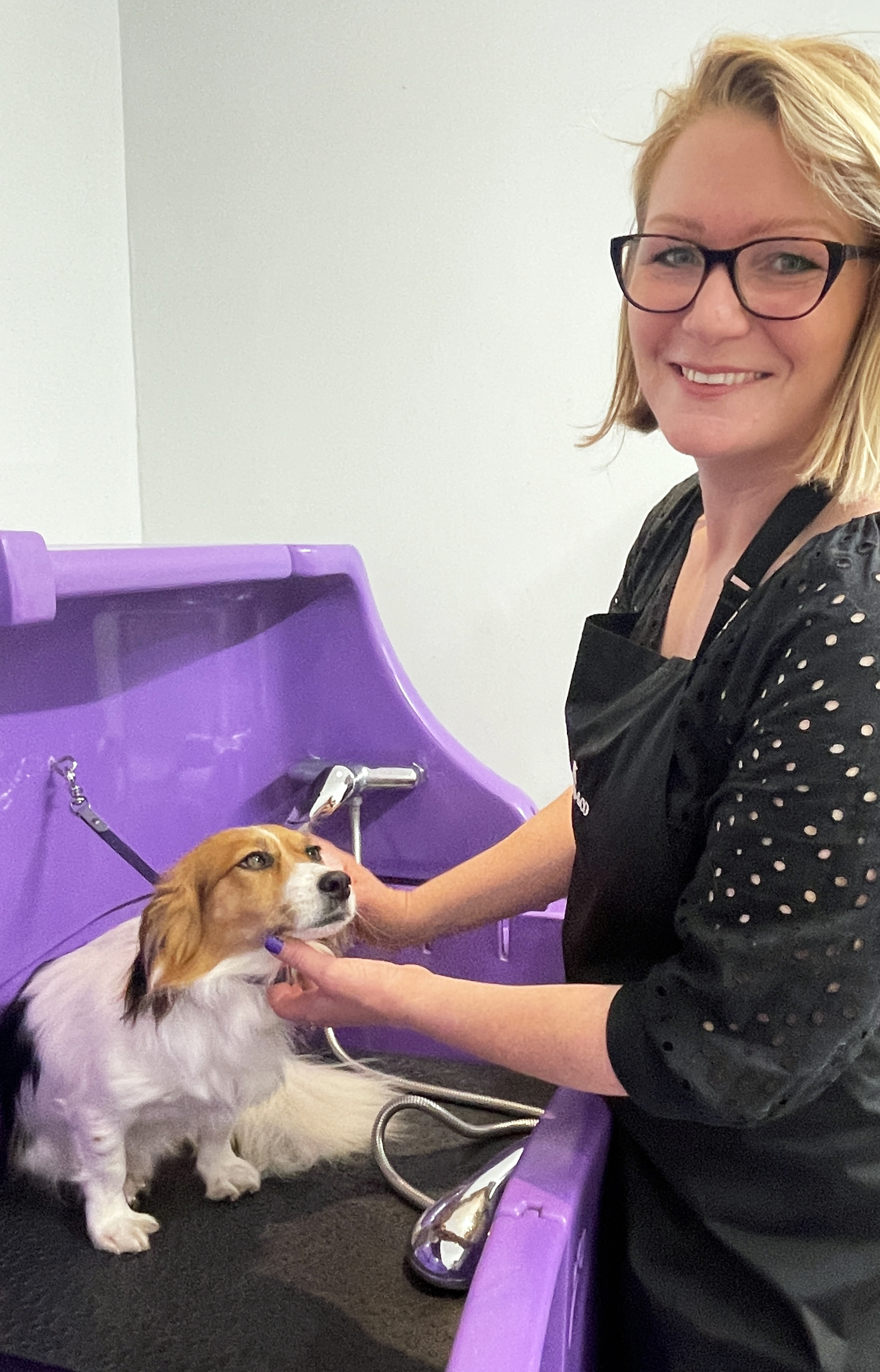 Pet sales store grooming